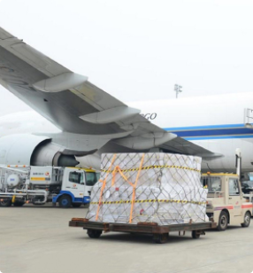 Hướng dẫn hỗ trợ dịch vụ